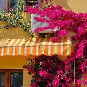 In The Heart Of Tuscany Appartamento Monsummano Terme
